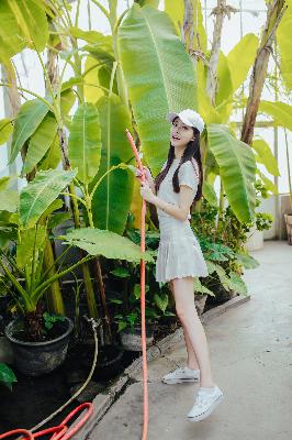 东北往事之黑道风云20年未删节电视剧